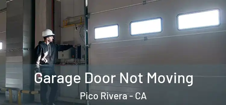  Garage Door Not Moving Pico Rivera - CA