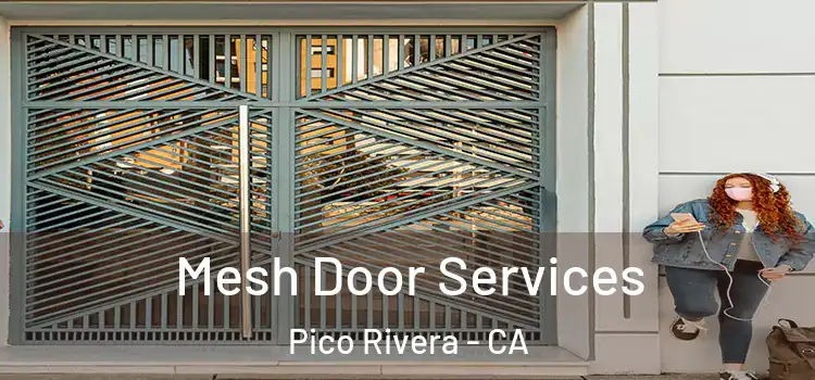 Mesh Door Services Pico Rivera - CA
